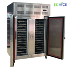 Hot Sale Factory Supply 500L 15 Pans Low Deep Quick Freezing Industrial Freezers with Nice Price